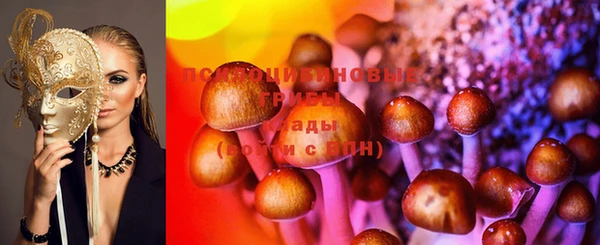 винт Покачи