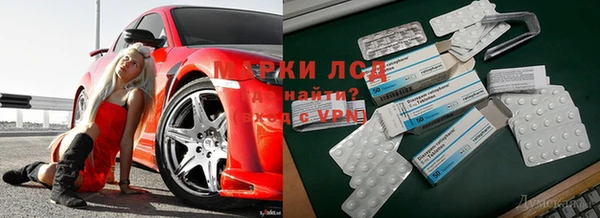 мяу мяу мука Пересвет