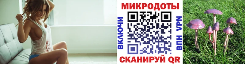Галлюциногенные грибы Magic Shrooms  наркошоп  Порхов 
